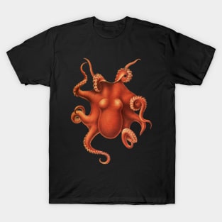 Deep Sea Octopus Vintage Marine Biology Natural History T-Shirt